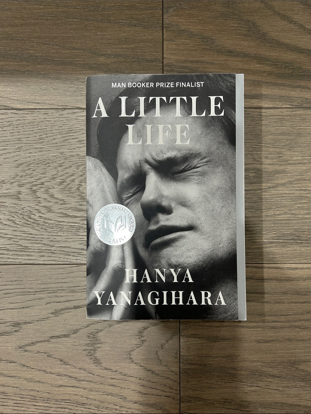 Hanya Yanagihara - A Little Life